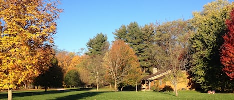 View from the barn. 