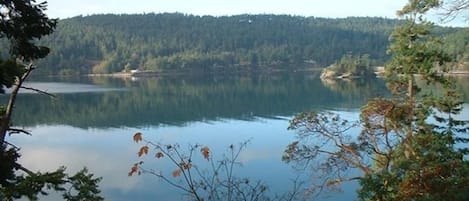 View from Cottage deck