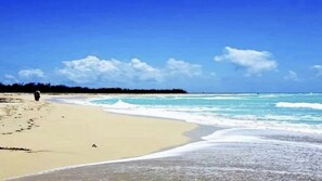 Enjoy the beauty above and below the water at Buck Island National Park 