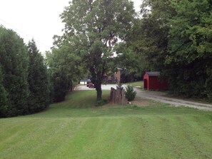 Professionally manicured lawn