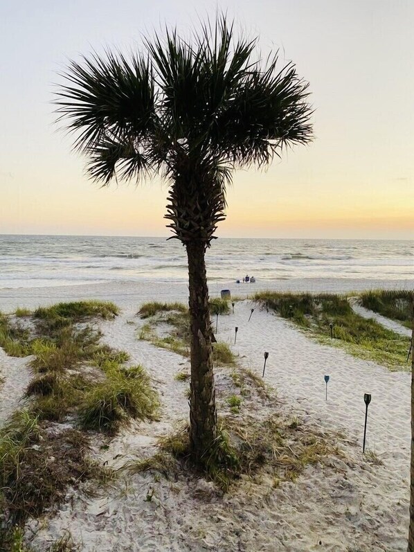 Steps Away From the Gulf!