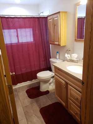 Bathroom Remodel 11/2019