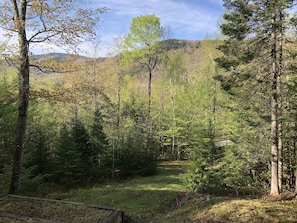 The view