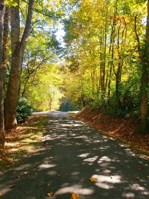 Coming up Driveway