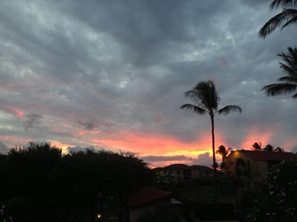 Garden view. Free WiFi & phone (US only) Many extras. Great Kihei location