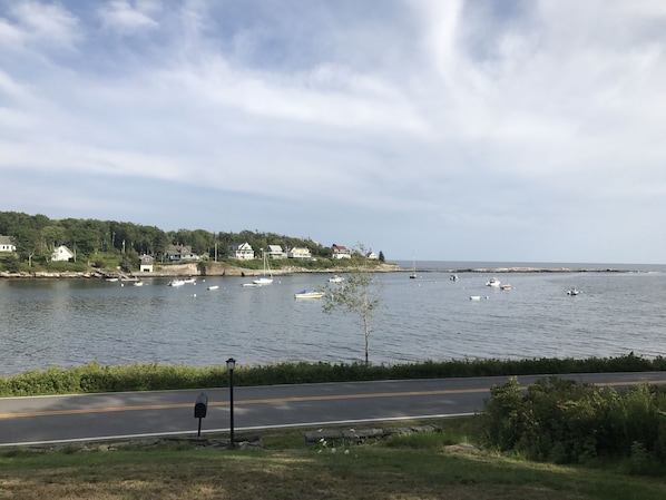 The view from the sunroom is like a moving postcard