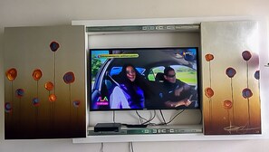 40" Flat Screen TV hidden in Painting
