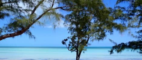 View from the Cabana to the water.