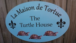 Welcome To The Turtle House!