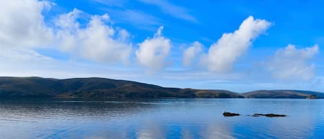 Bleu Bay Cove is permanent home of Great Blue Herons & Snowy White Egrets