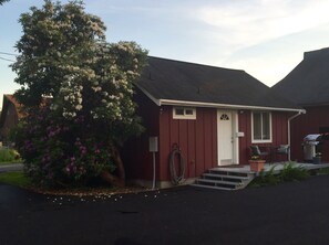 Entry driveway with big rhododendron