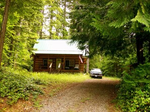 Camp Wolf At Lake Cushman - view from the road