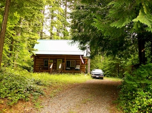 Camp Wolf At Lake Cushman - view from the road