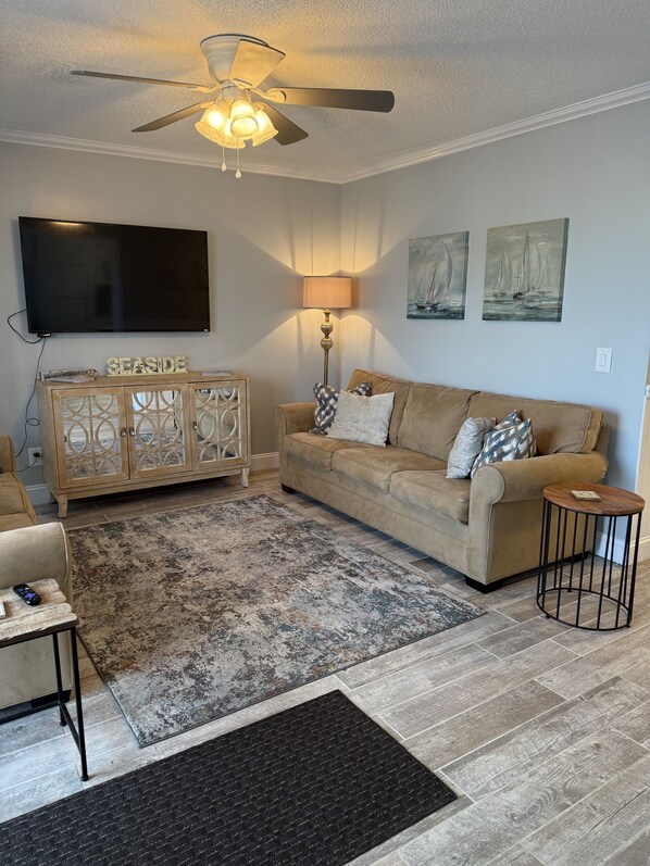 Living room 2 sleeper sofas