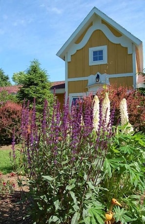The front view of the cottage and perennial garden (lupines)