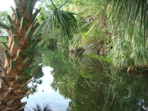 Waterfront w/2 canals, this canal leads to the  beautiful Chassahowitzka River.