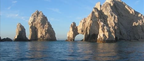 Cabo's Famous Arch
This is why you come to CABO!!