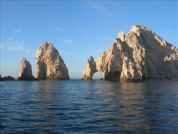 Cabo's Famous Arch
This is why you come to CABO!!