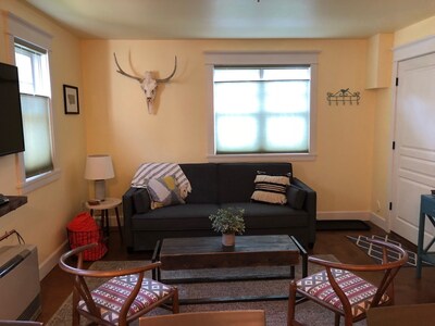 Cute Downtown Apartment, Walk to University, Shops & More!