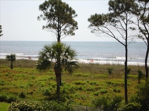 All photos are taken from this condos deck. So you will enjoy this view.See sand