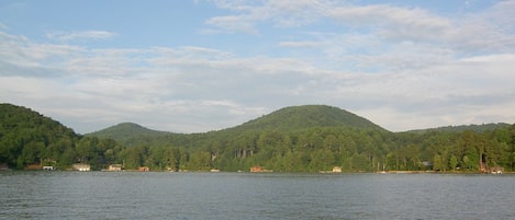 A view of the lake