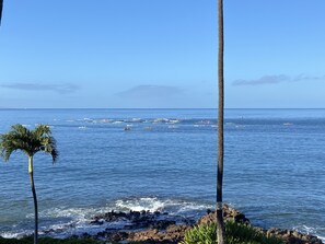 View from lanai (2/2023) ocean racing in front of complex.  