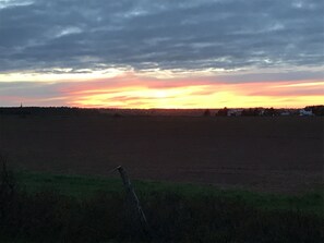 Oklassificerad bild, 3 av 28, knapp