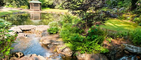 Waterfall with Pond on front yard