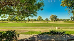 VIEW FROM PATIO