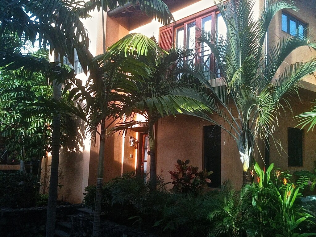 Tropical Luxury Villa In The Point And Langosta Beach Club Playa Langosta