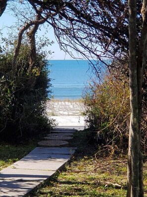 our walkway to the beach (less than 100 steps away)