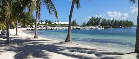 Beach in front of Condo