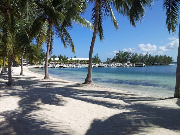 Beach in front of Condo