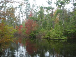 Fishing Pond