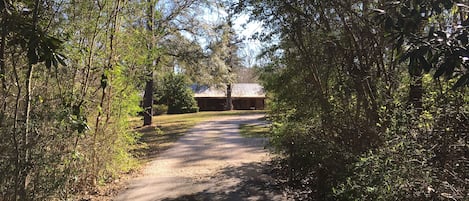 Entrance road to Ethridge Farm B&B