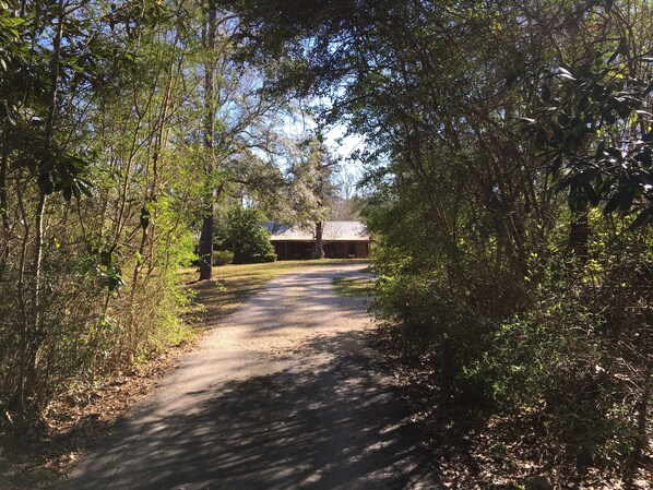 Entrance road to Ethridge Farm B&B