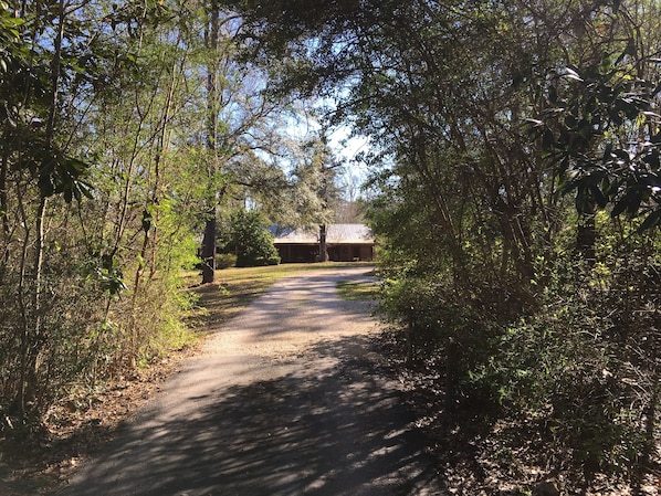 Entrance road to Ethridge Farm B&B