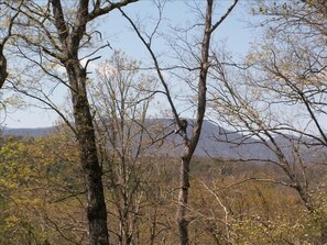 Beautiful mountain views from the cabin in April.