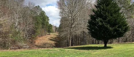 Favorite view from front yard!