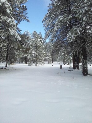 The backyard in winter.