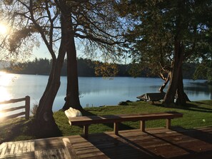 View off of the Kitchen