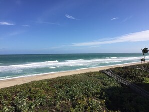What a view!