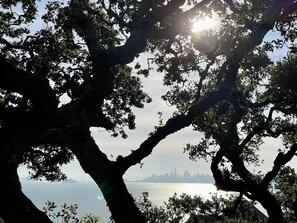 View of Alcatraz, the Bay Bridge, and SF "the city", from just down the street.