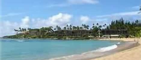 Shoreline of beautiful Napili Bay in front of #101