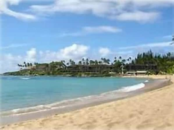 Shoreline of beautiful Napili Bay in front of #101