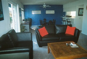 Living and Dining areas