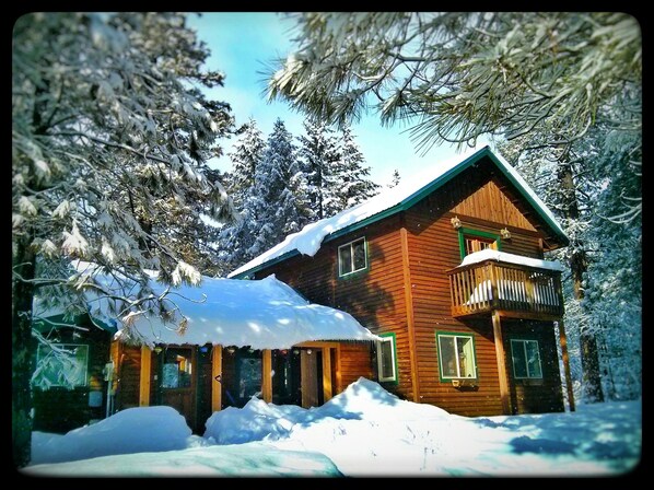 Come play in the snow!