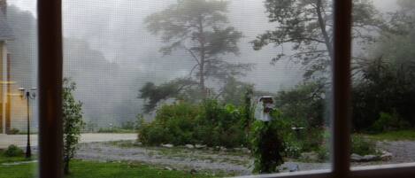 View out the dining room window on a rainy day.