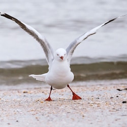 Enjoy the nature and wildlife!
