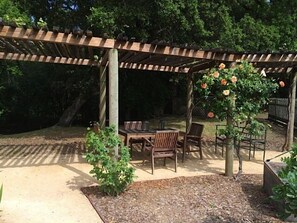 Pergola at Mustard Cottage 